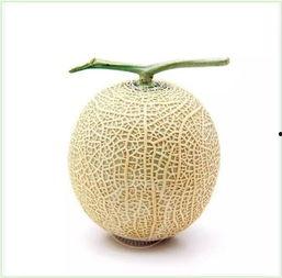 网纹瓜怎么吃,解锁夏日清新口感新体验